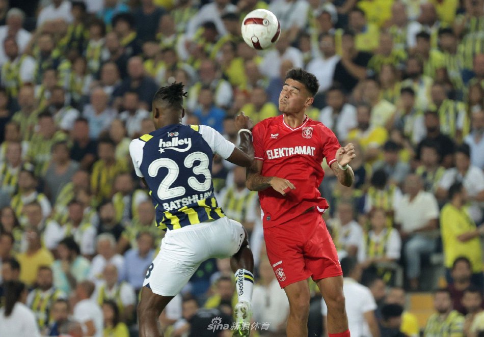 数的得分 数的得分